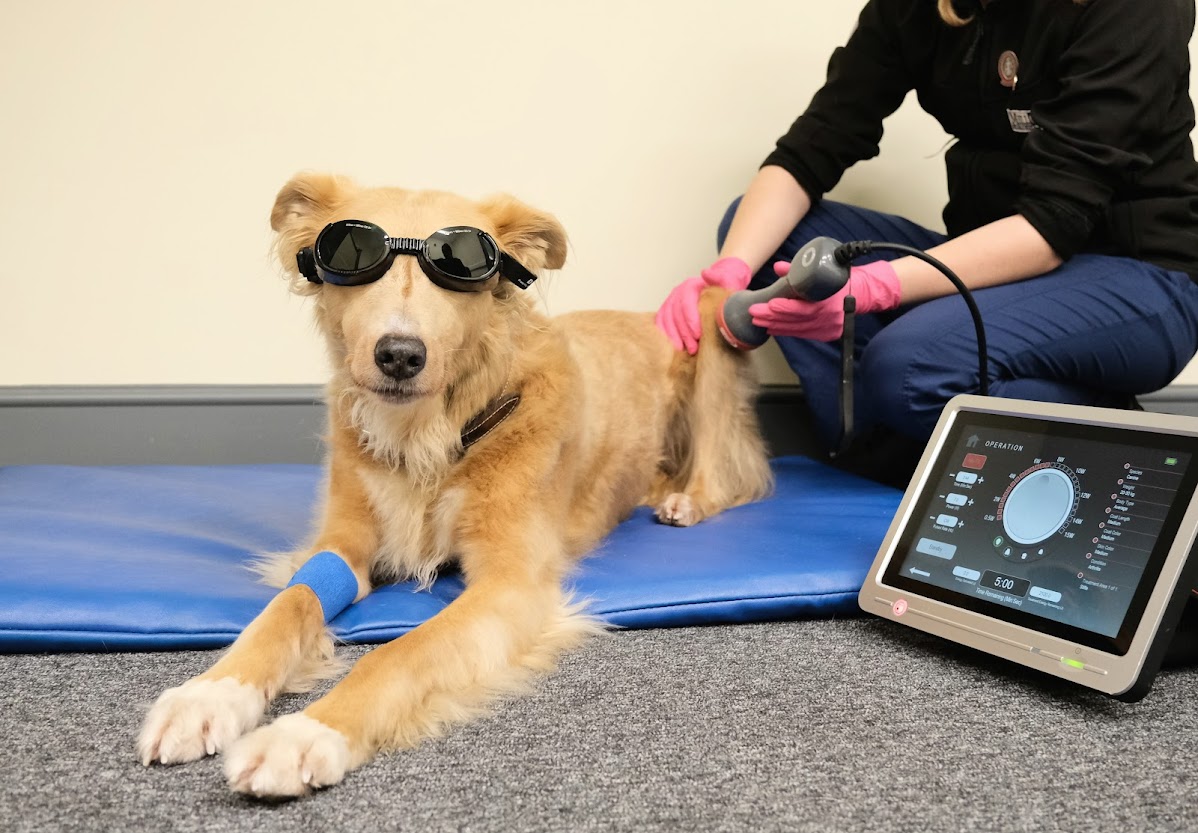 Millcroft Veterinary Group - Keswick