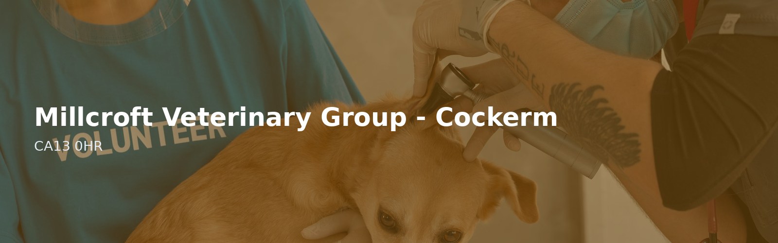 Millcroft Veterinary Group - Cockermouth