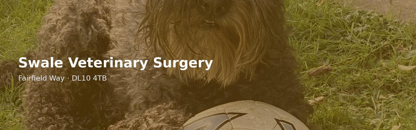 Swale Veterinary Surgery
