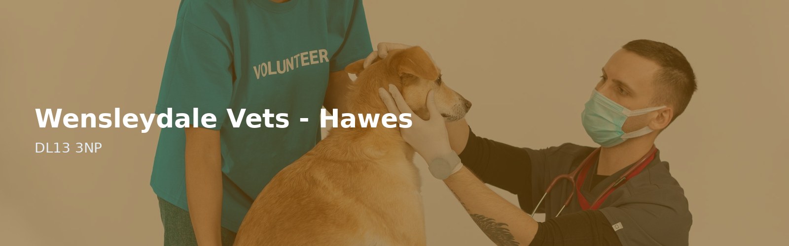 Wensleydale Vets - Hawes