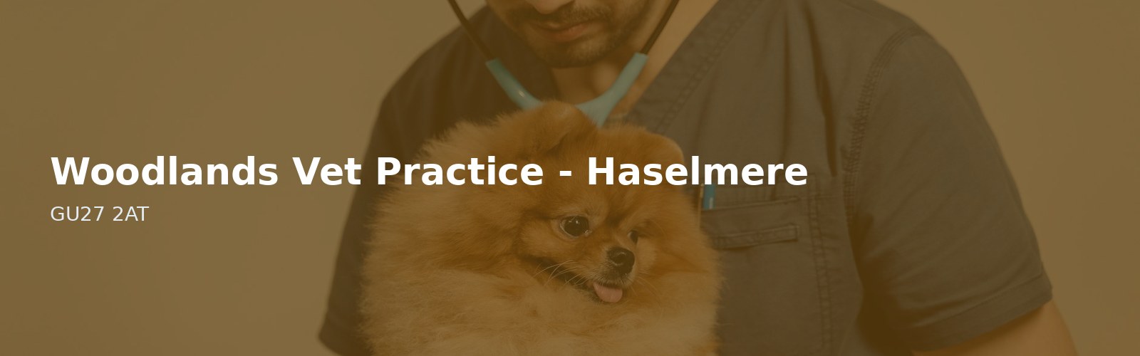 Woodlands Vet Practice - Haselmere