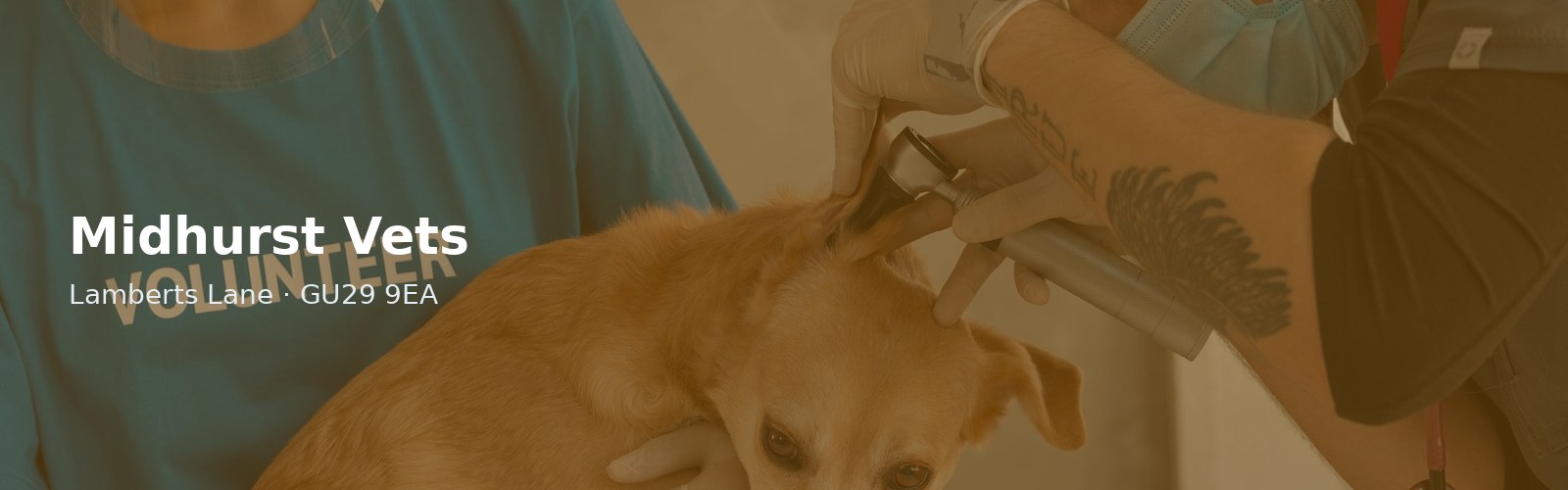 Midhurst Vets