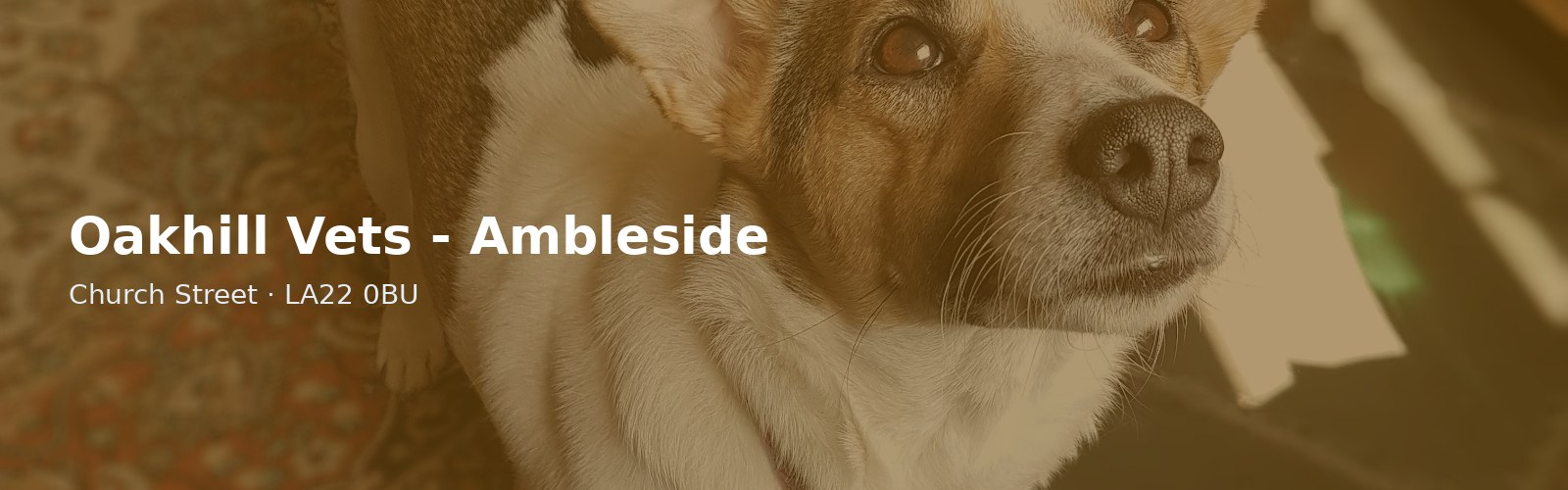 Oakhill Vets - Ambleside