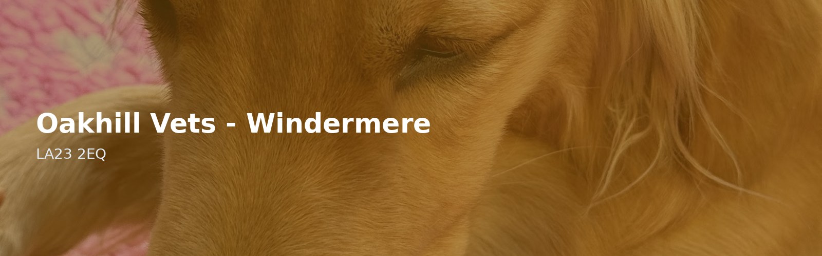 Oakhill Vets - Windermere