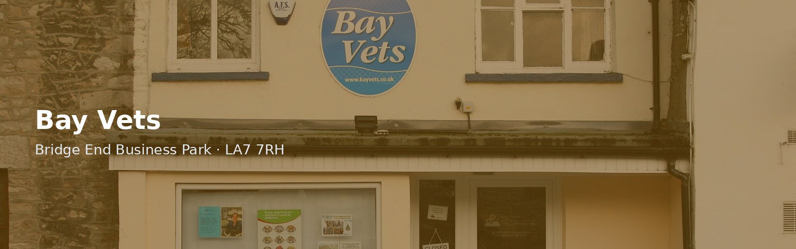 Bay Vets