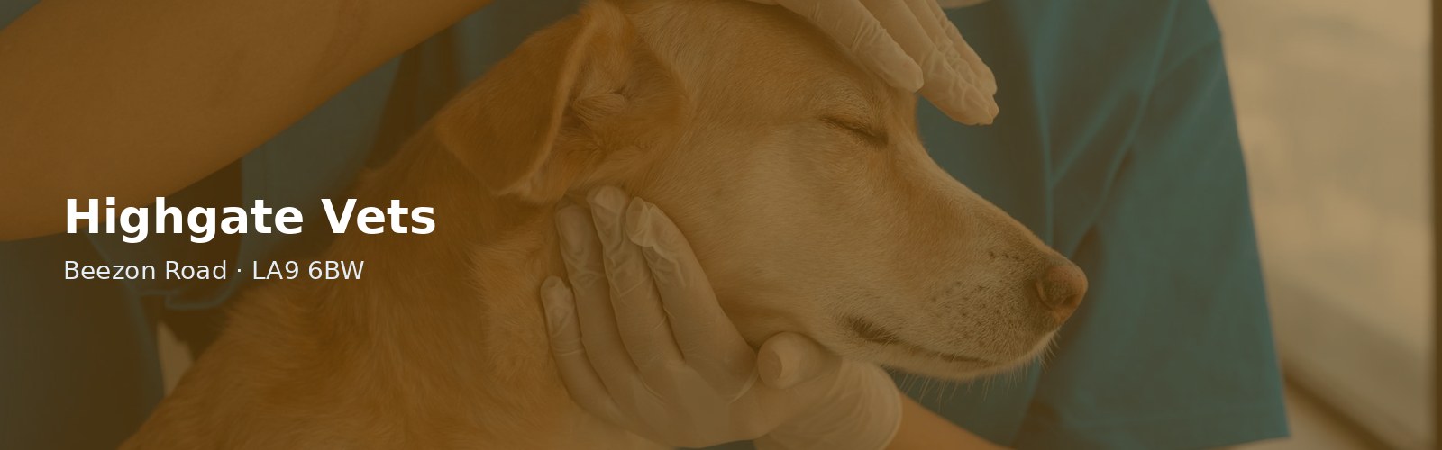Highgate Vets