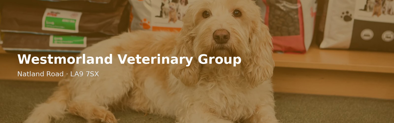 Westmorland Veterinary Group