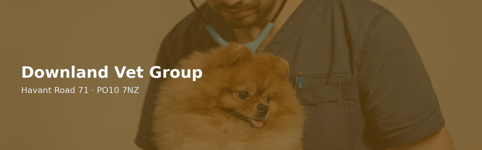 Downland Vet Group