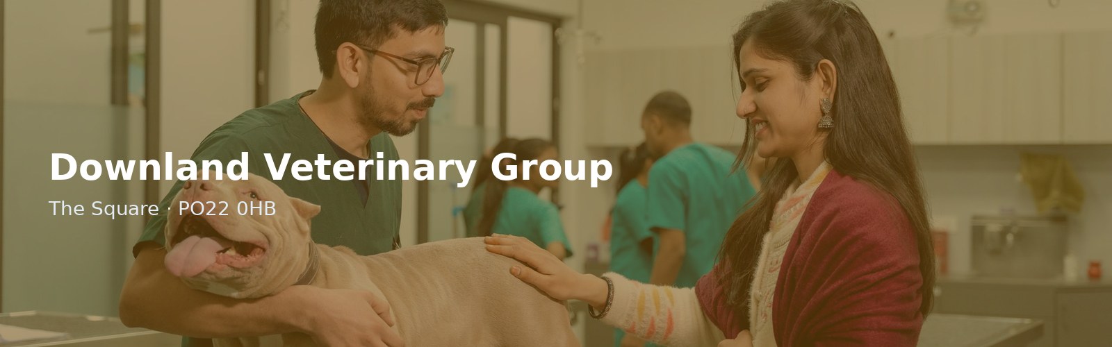Downland Veterinary Group