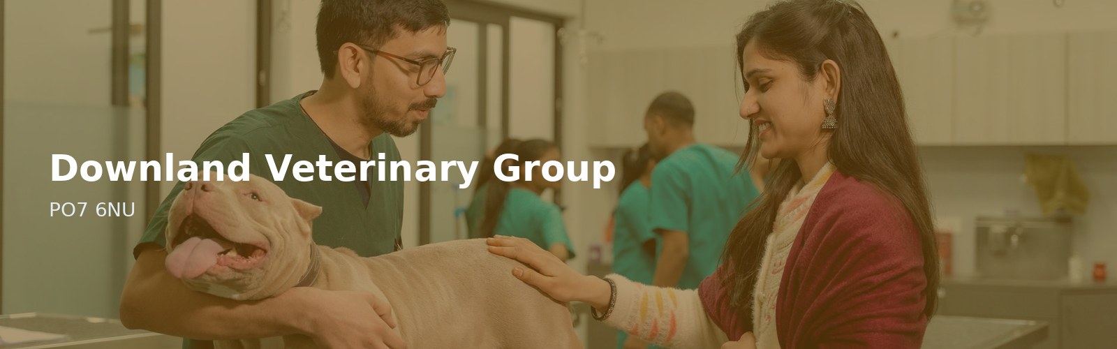 Downland Veterinary Group