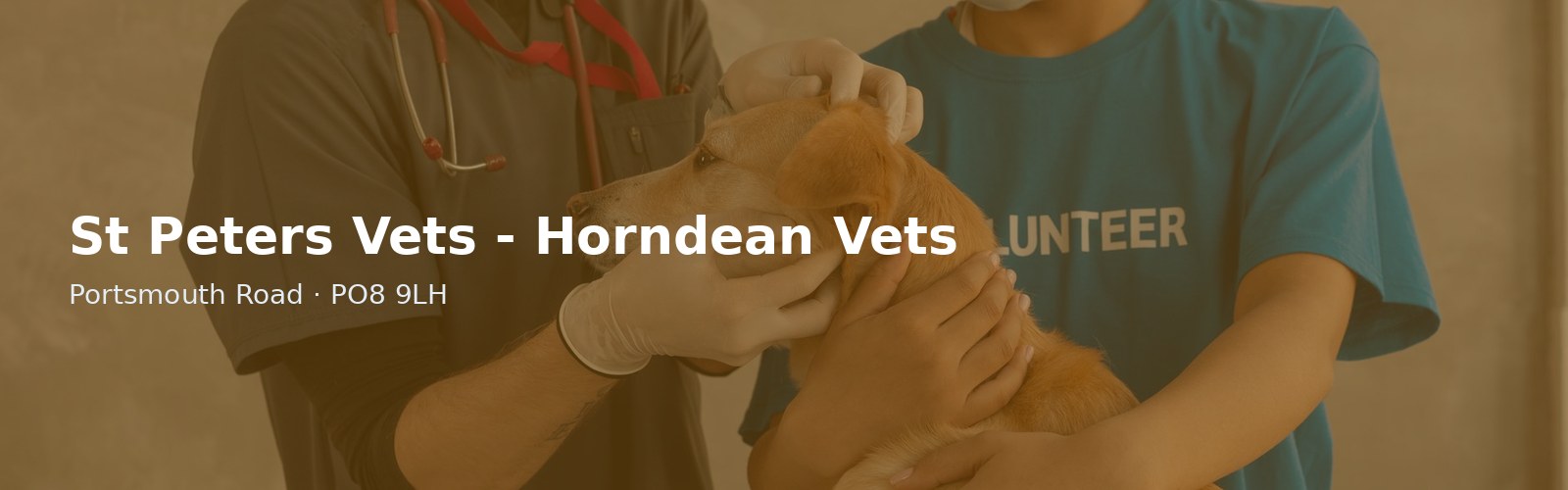 St Peters Vets - Horndean Vets