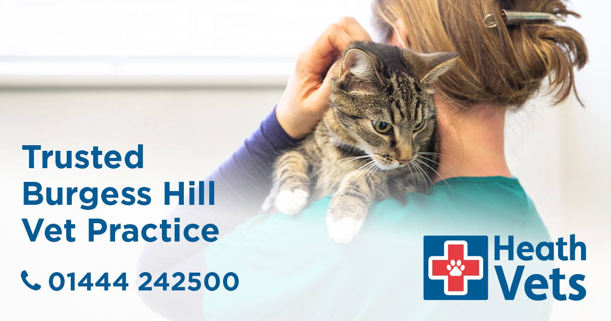 Heath Vets