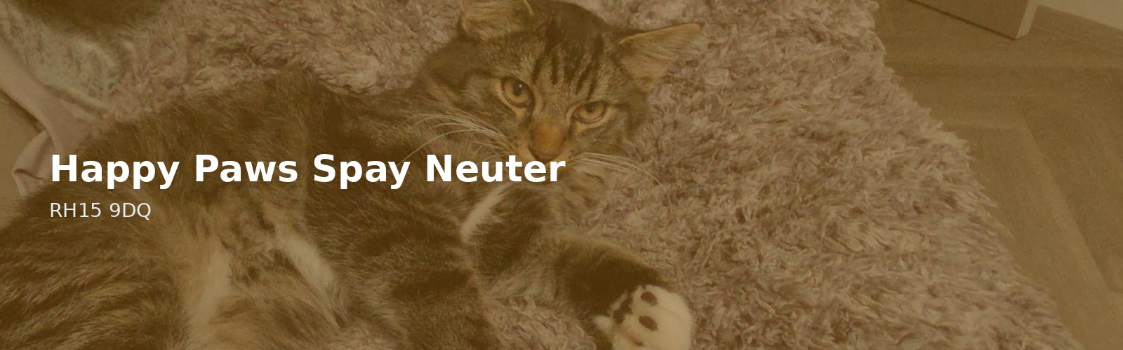 Happy Paws Spay Neuter