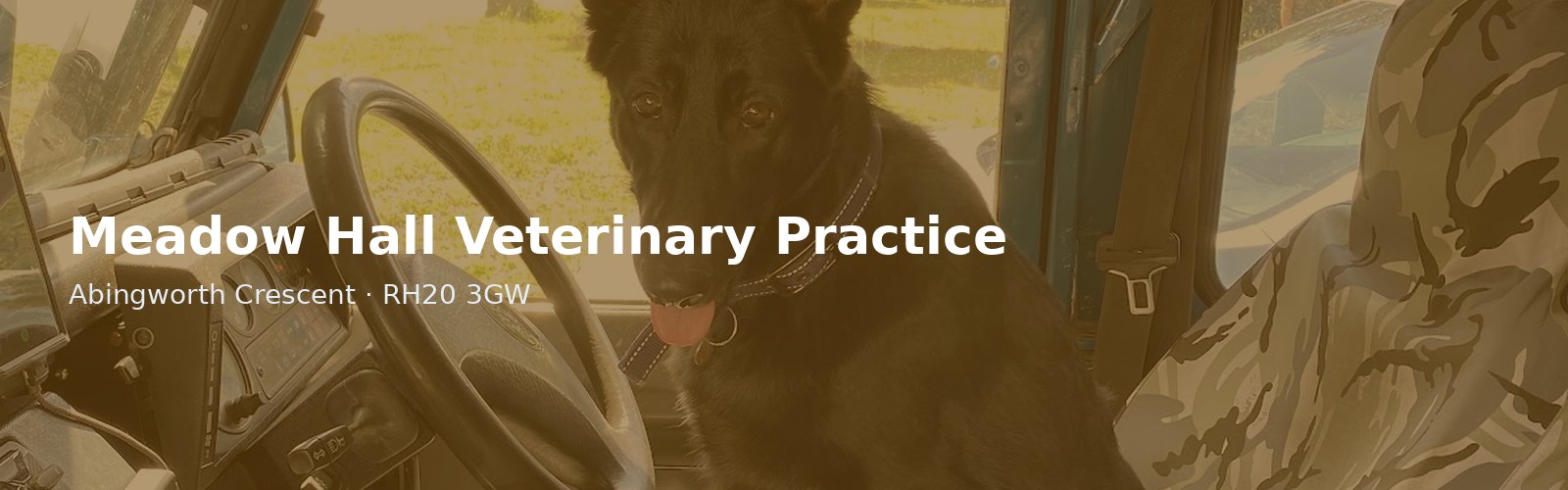 Meadow Hall Veterinary Practice