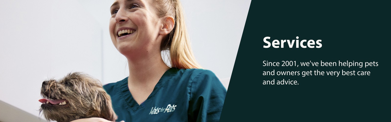 Vets4Pets