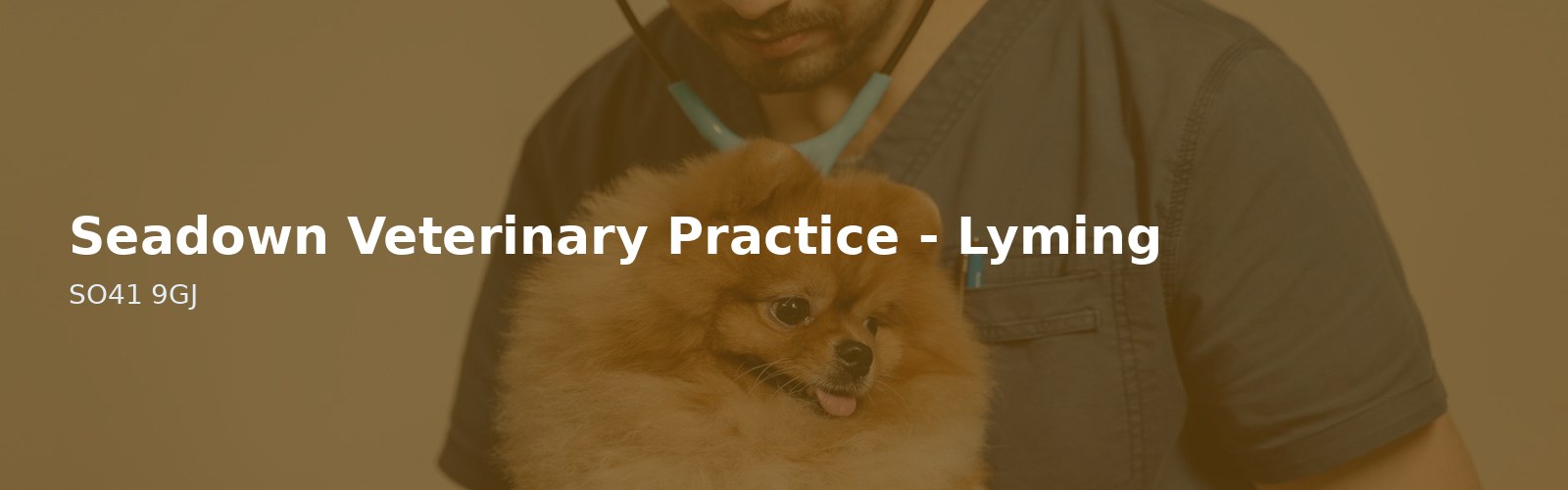 Seadown Veterinary Practice - Lymington