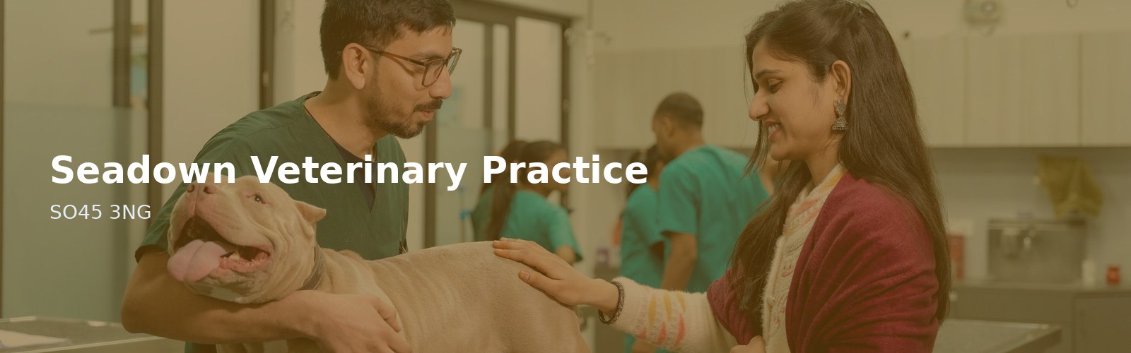 Seadown Veterinary Practice