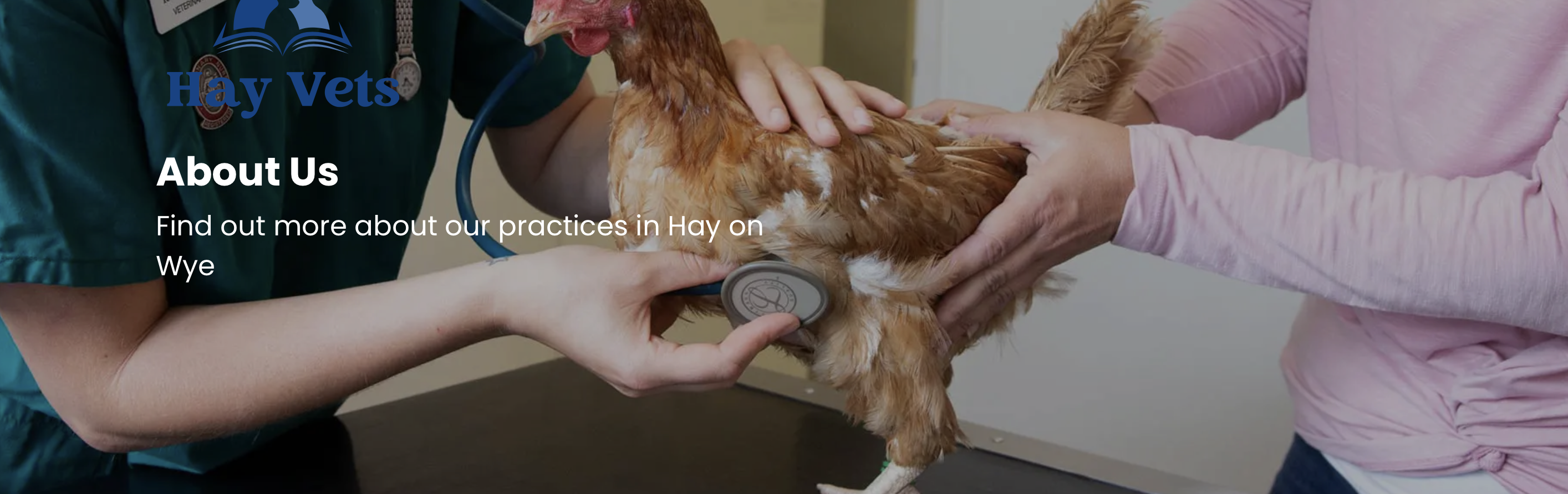 Hay Veterinary Group Talgarth