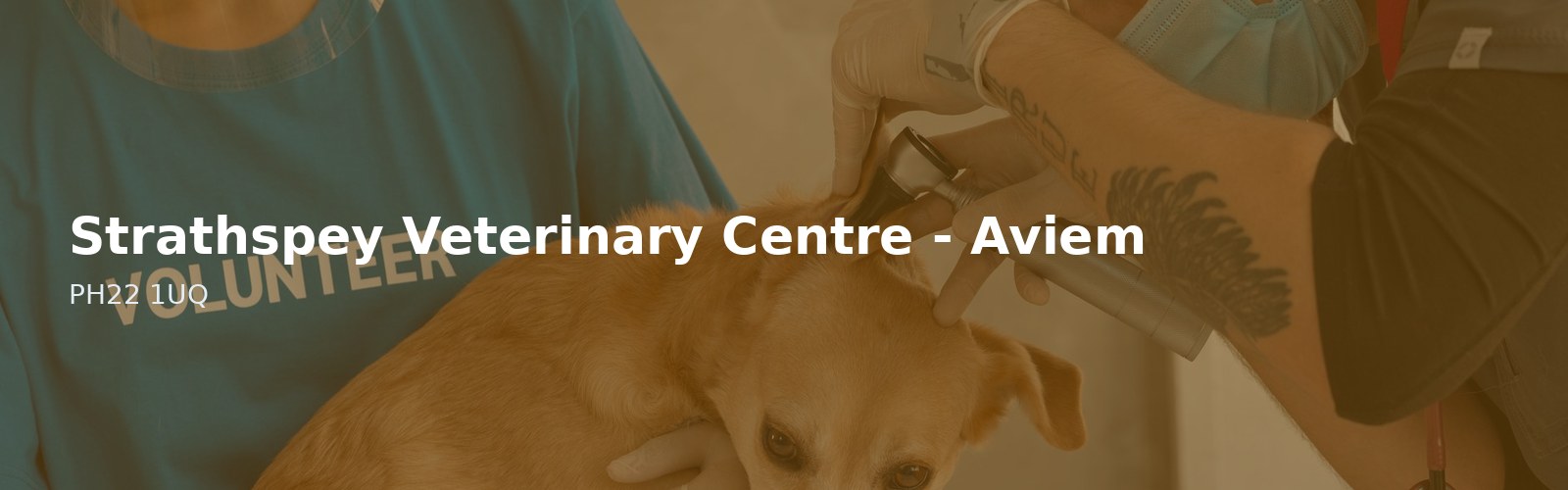 Strathspey Veterinary Centre - Aviemore