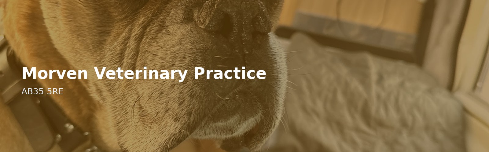 Morven Veterinary Practice
