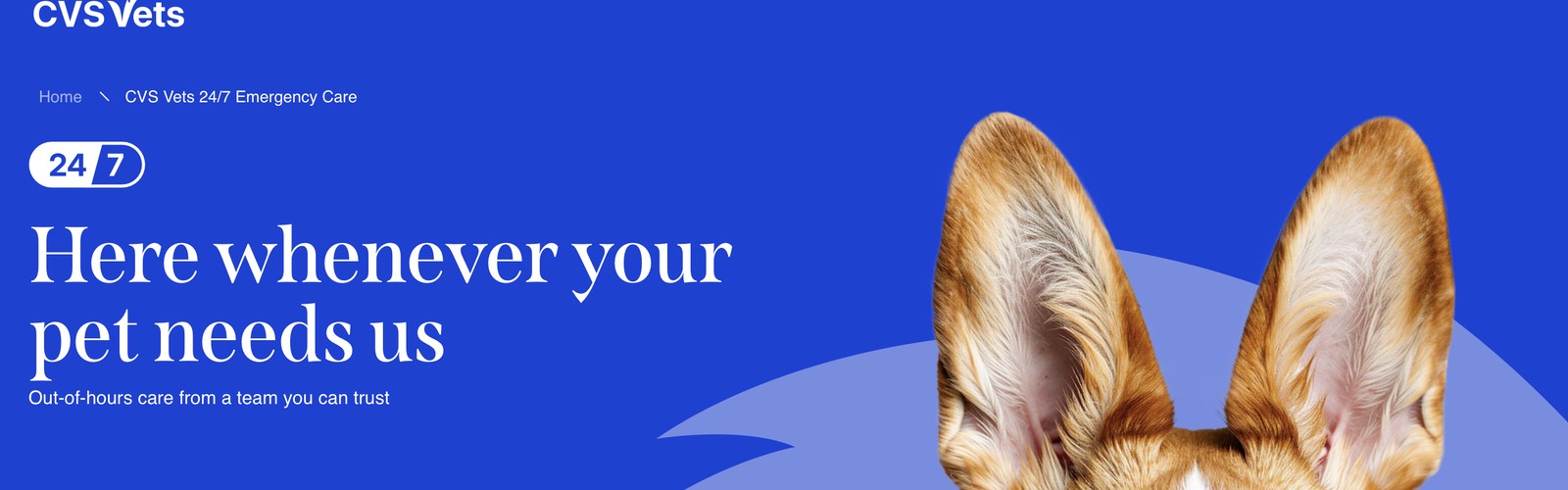 Alnorthumbria Vets (Wagonway)