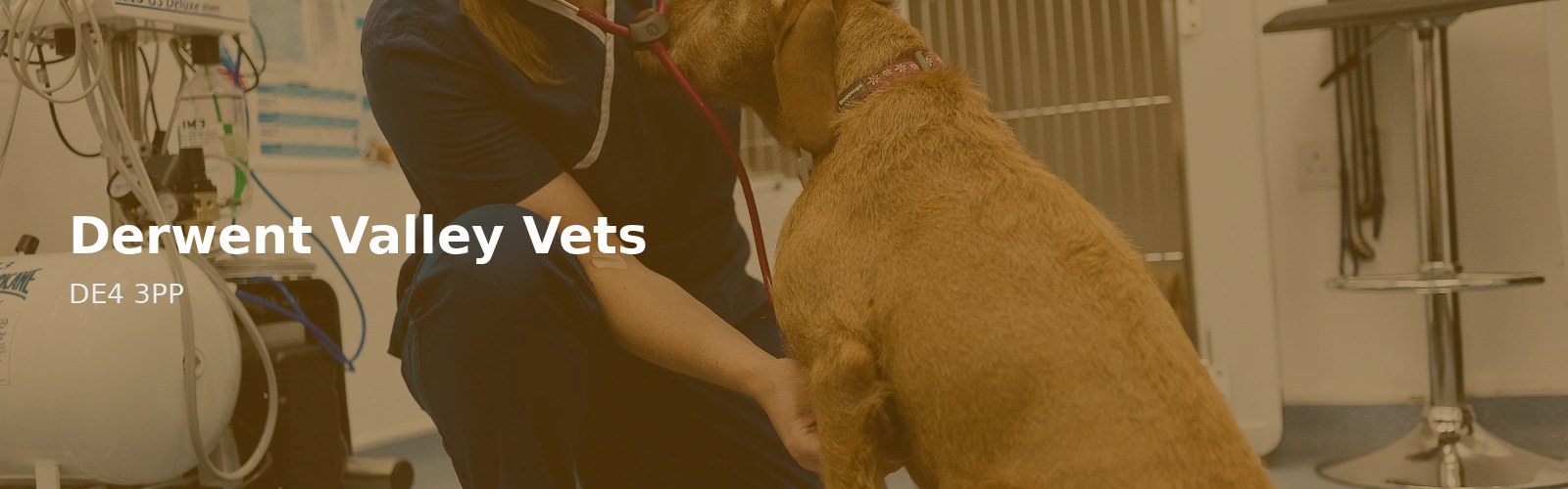 Derwent Valley Vets