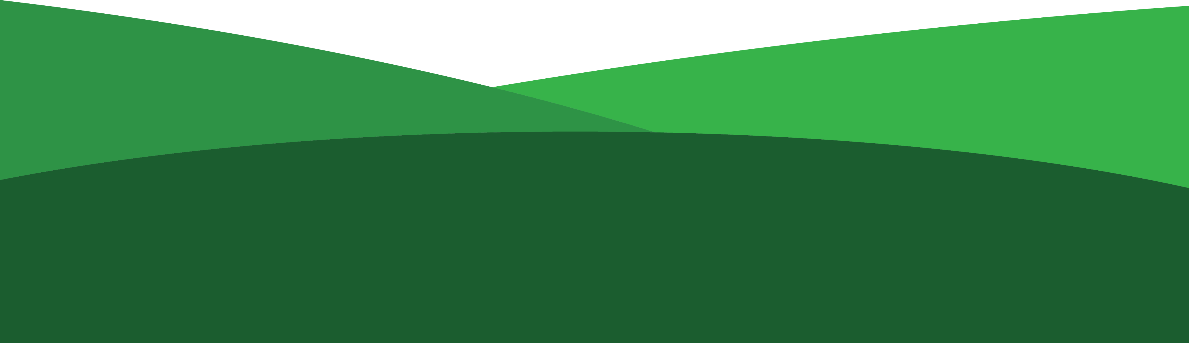 Wern Veterinary Surgeons - Llanrwst