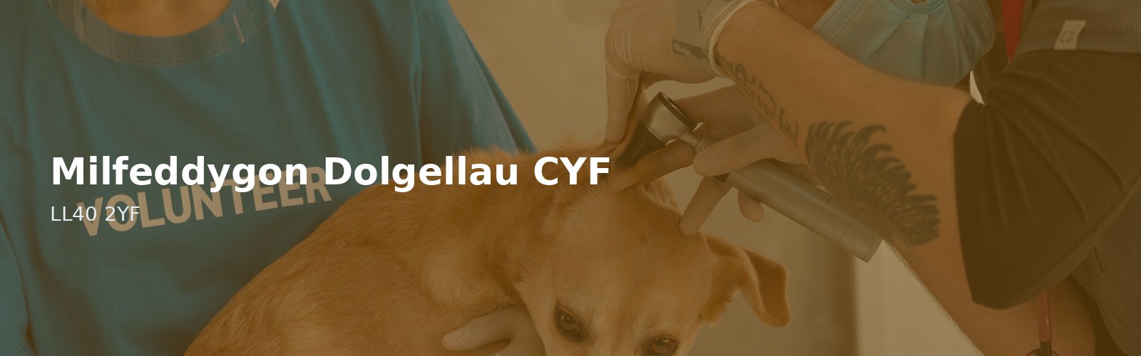Milfeddygon Dolgellau CYF