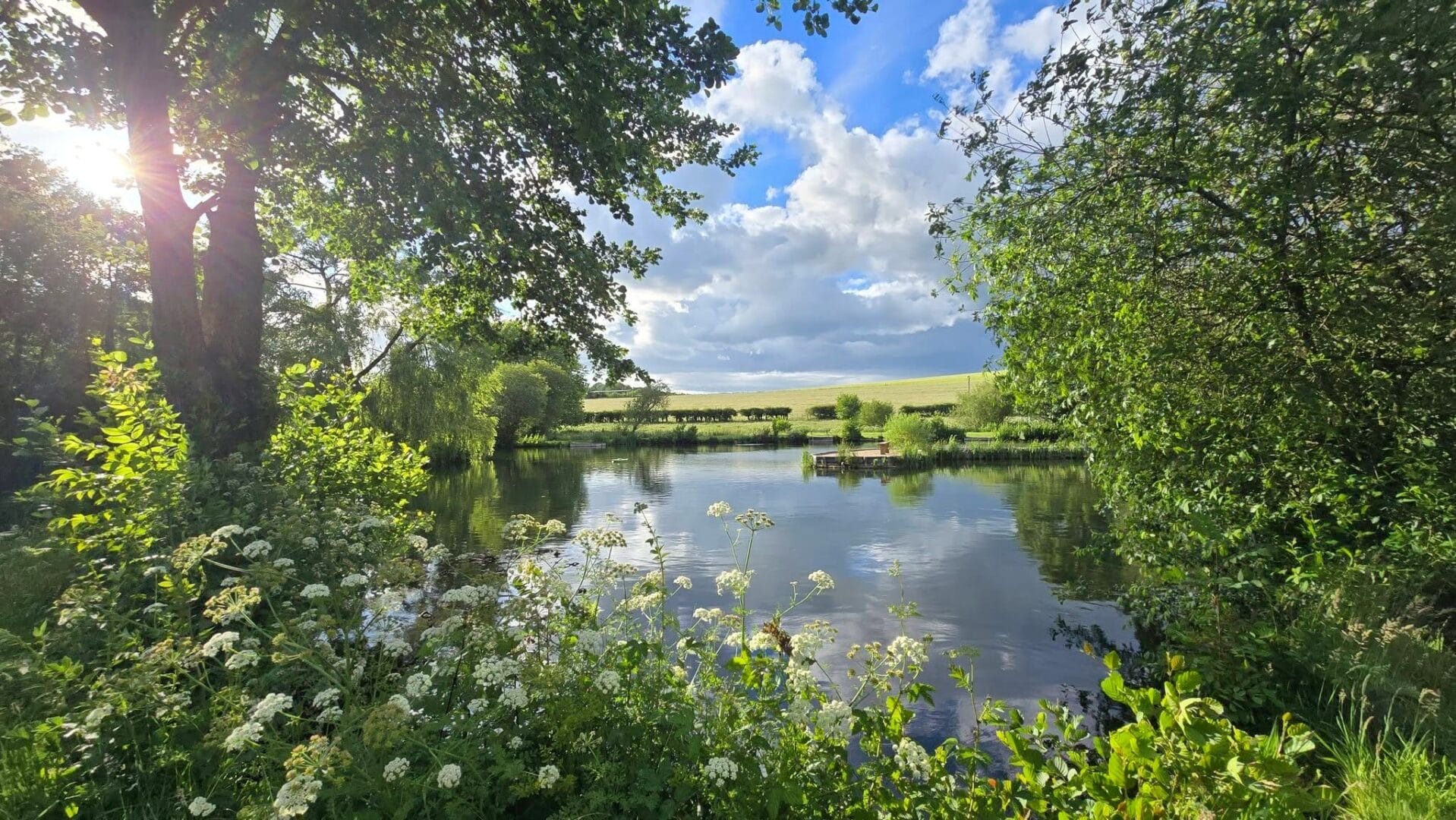 Moorhen Trout Fishery