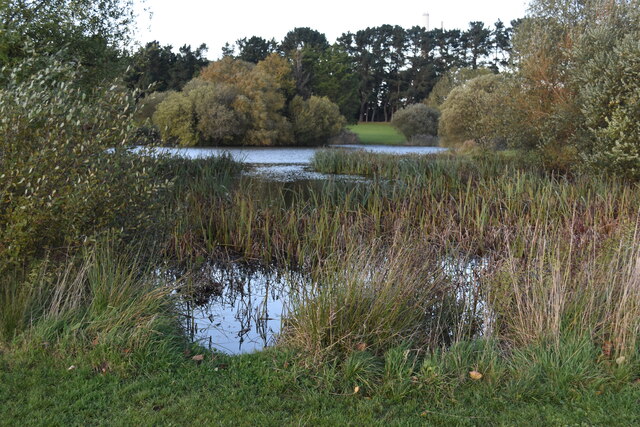 Dark Lane Ponds