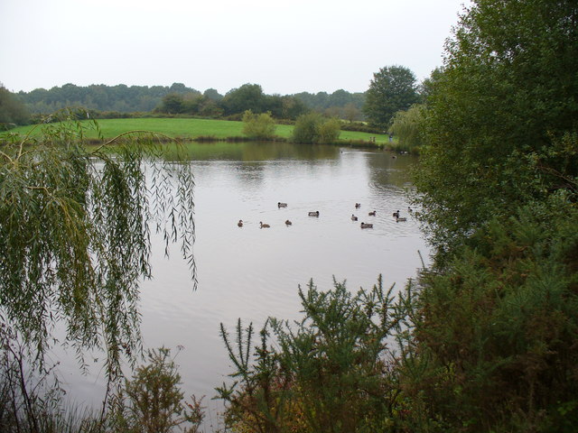 Blackwool Farm Trout Fishery