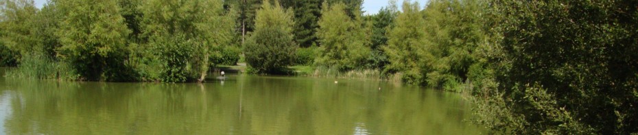 Alderwood Ponds