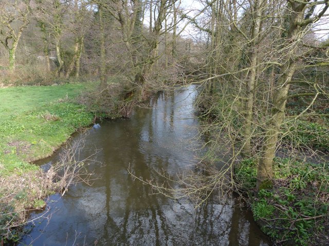 Barlow Trout and Coarse Fishery