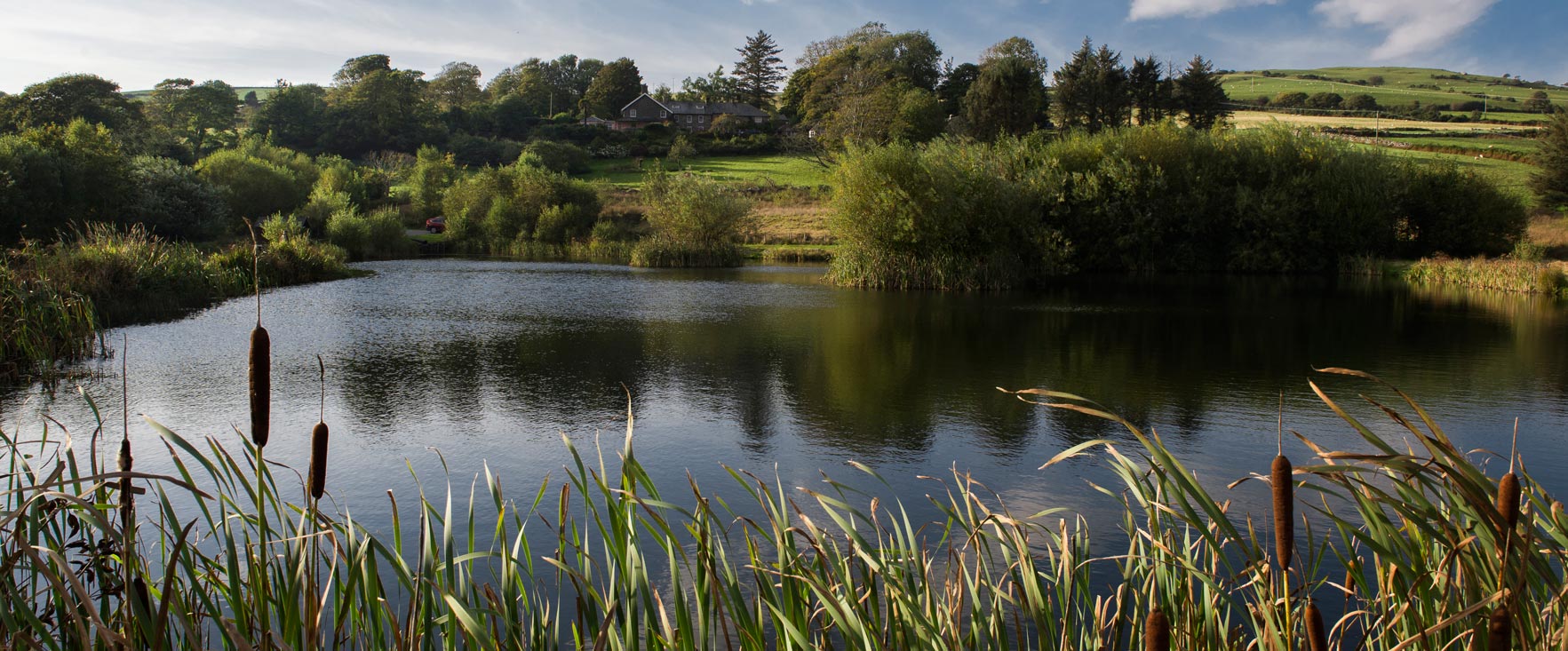 Eisteddfa Fisheries