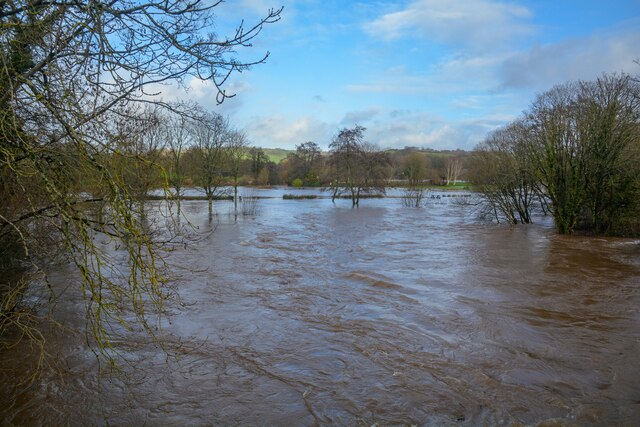 Exe Valley Fishery