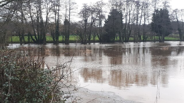 Woodington Fishery