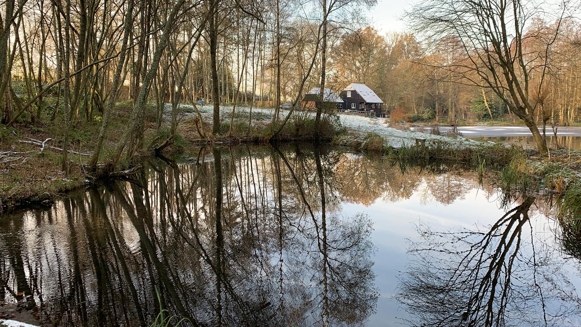 Frensham Trout Fishery