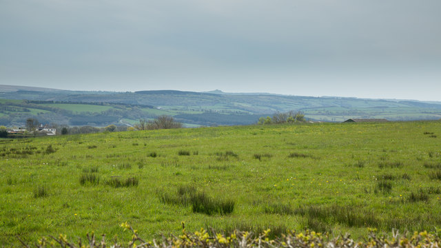 South Reed Farm Holidays