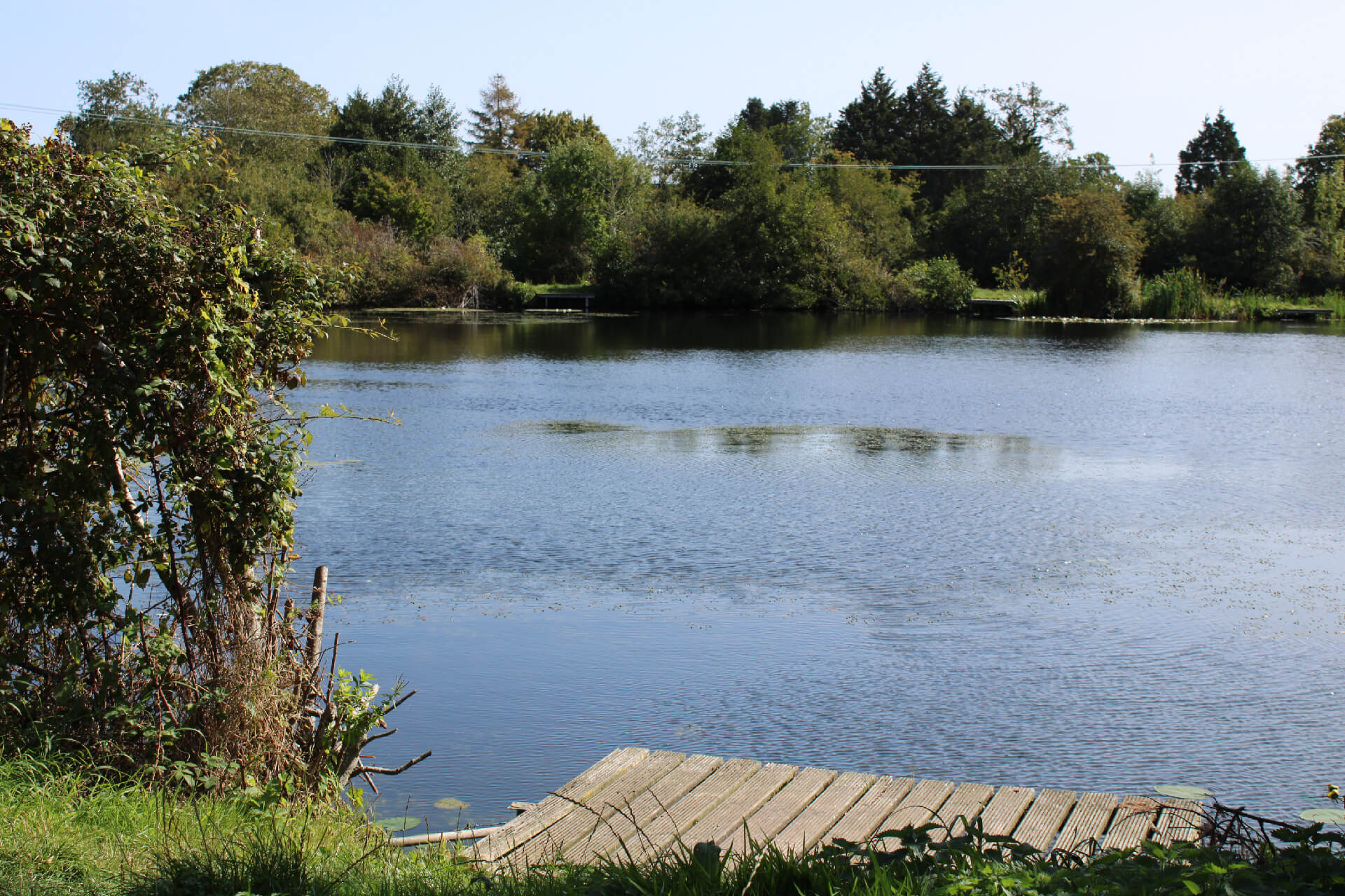 Shallowbrook Fishing Lakes
