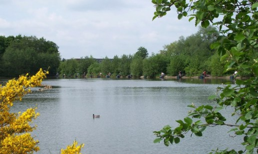 Gold Valley Lakes