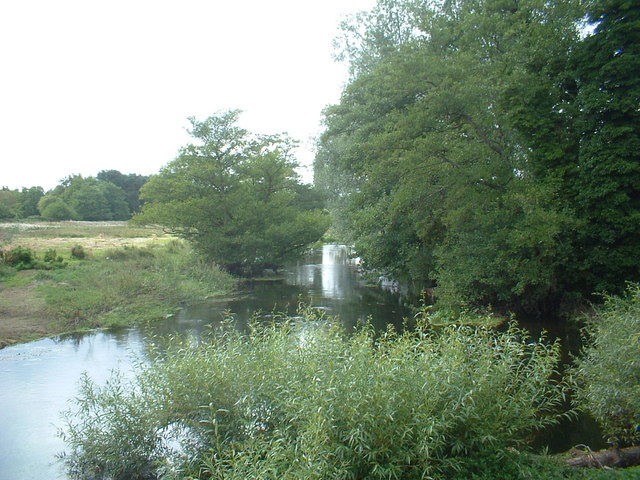 Taverham Mill Fishery