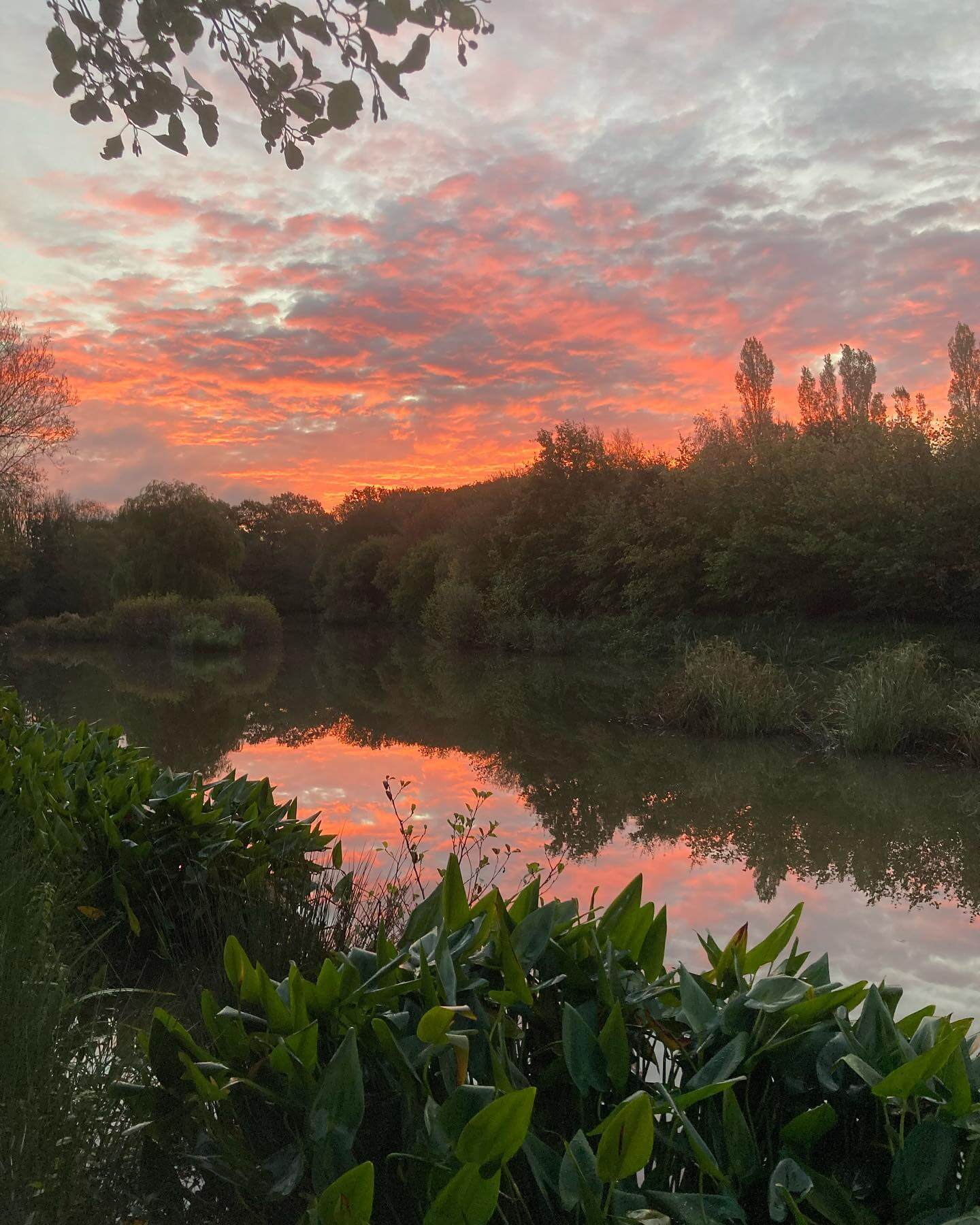 Framfield Park Coarse Fishery