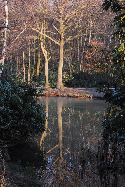 Wombwell Dam