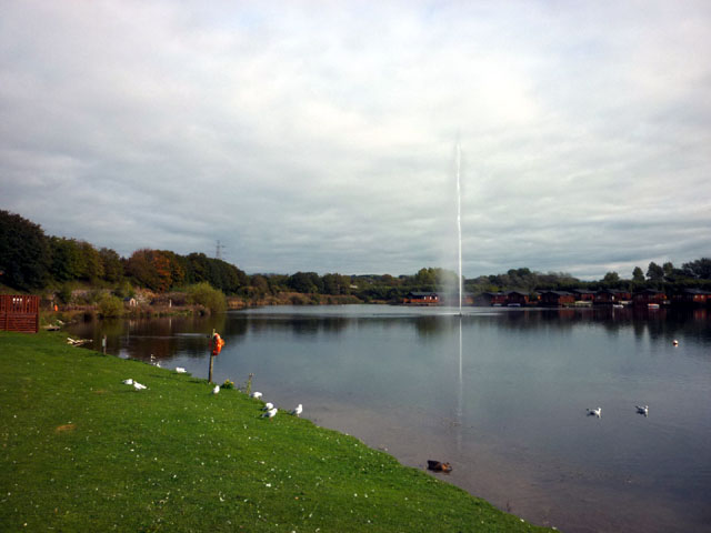 The Villa Fishery