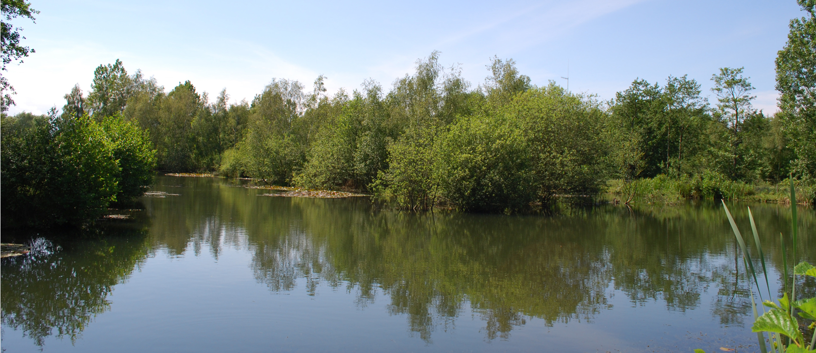 Cobbleacre Park Lakes