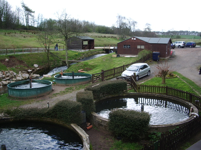 New Mills Trout Farm