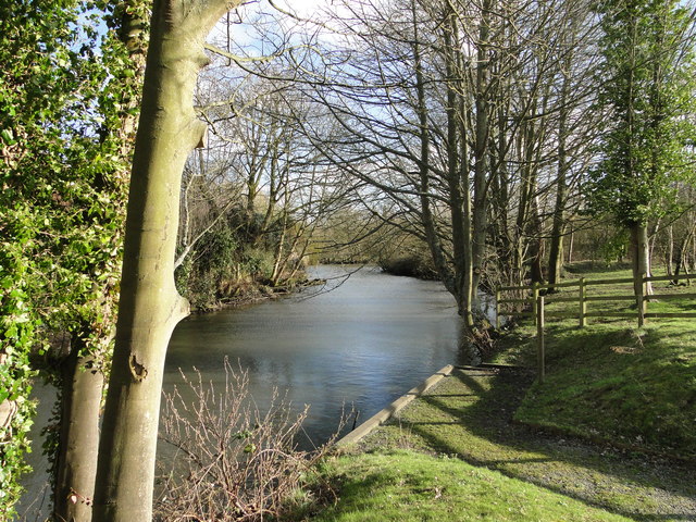 Carey's Meadow