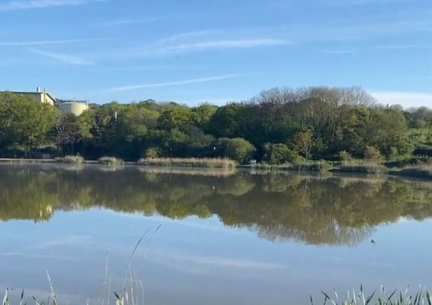 Buckshole Reservoir