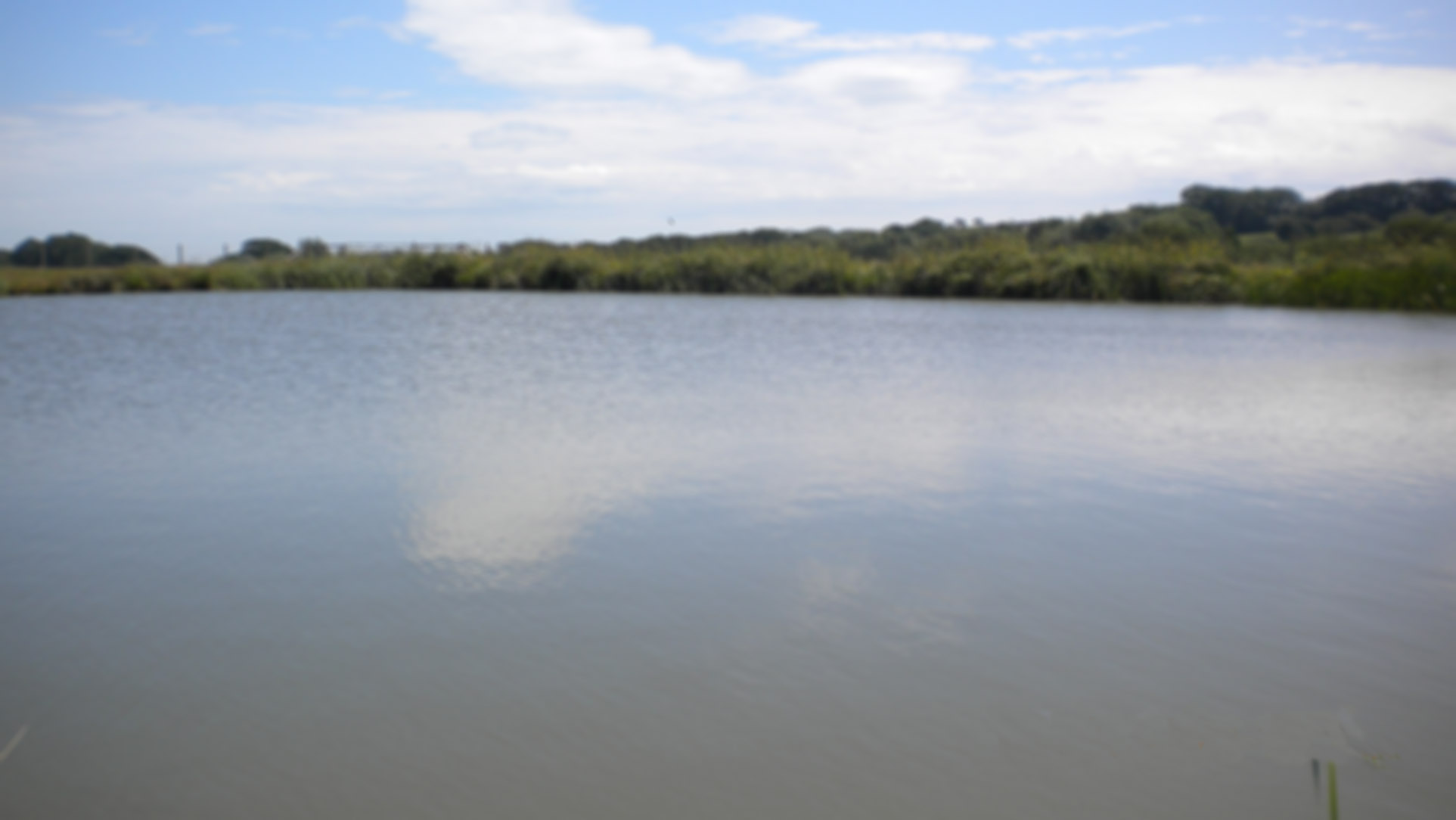 Clive Vale Reservoirs