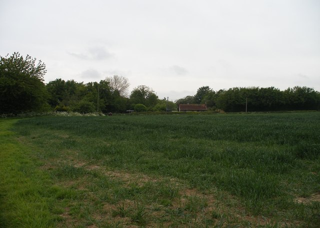 Iden Wood Fishery